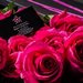 Couture box 25 trandafiri